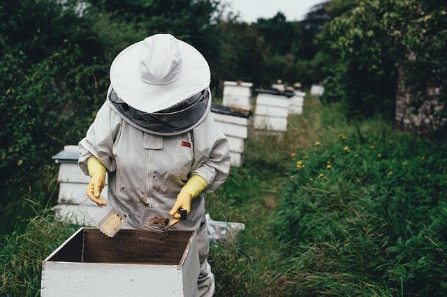 včelař u úlu